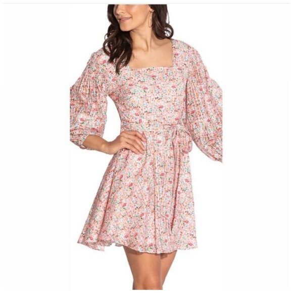 $460 NWOT Shoshanna Morena Silk-Blend A-Line Dress Cottagecore Shabby Sz 10